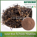 Factory 100% Natural Organic Instant Black Tea Extract Powder 25%polyphenols, Black tea powder